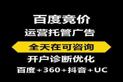 大型SEM服务公司案例分析